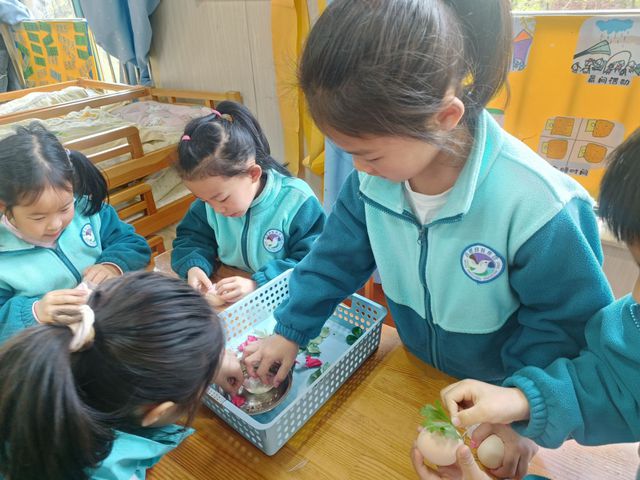 清明映童心 文脉润新芽——合肥幼儿师范教育中心开展清明节主题活动(图3)