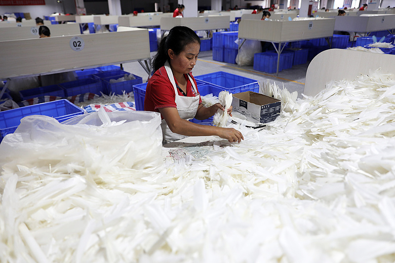 涨幅超黄金 羽毛球的价格为何一涨再涨？(图2)