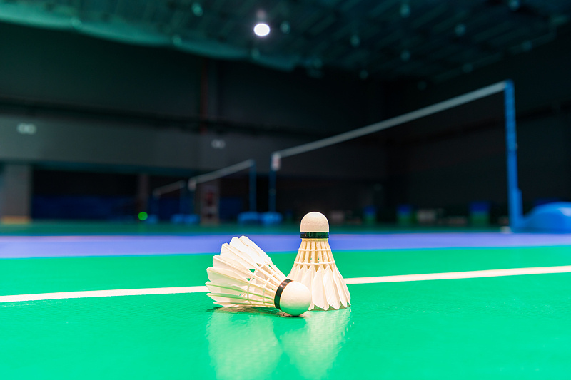 涨幅超黄金 羽毛球的价格为何一涨再涨？(图3)