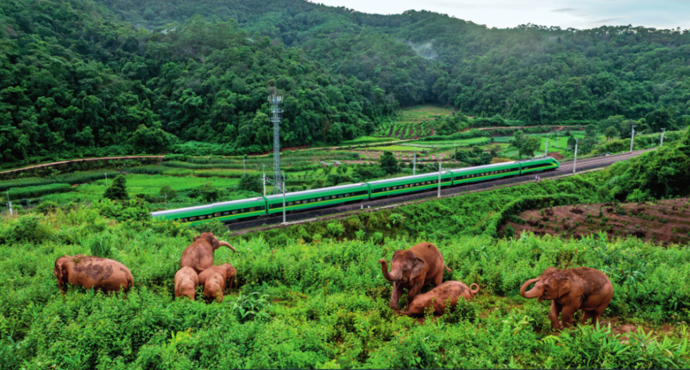 瞭望·治国理政纪事｜加快建设我国面向南亚东南亚辐射中心(图1)