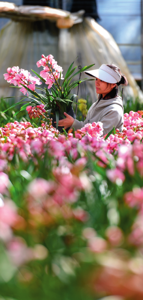 瞭望·治国理政纪事｜加快建设我国面向南亚东南亚辐射中心(图2)