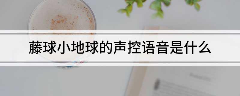 藤球小地球的声控语音是什么(图1)