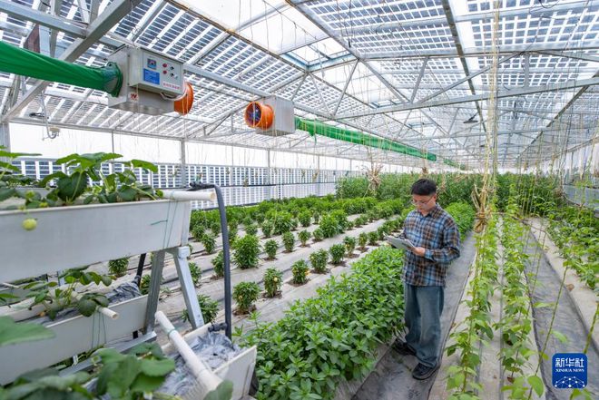 “东数西算”的宁夏答卷(图2)