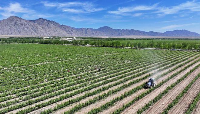 “东数西算”的宁夏答卷(图3)