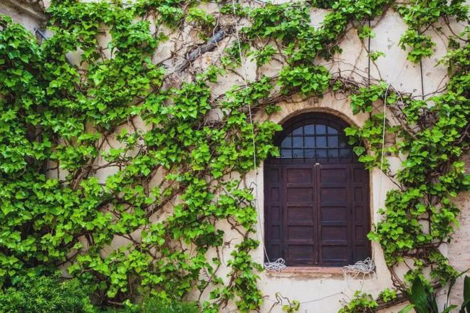 喜欢把家里打扫得很干净整洁的人大多是这四种人(图4)