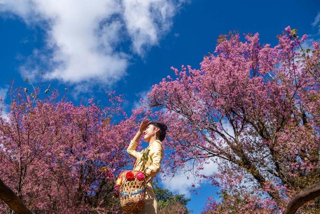 【美丽德宏 团结奋进】德宏：独特文化引客来 绿色康养留客心(图2)