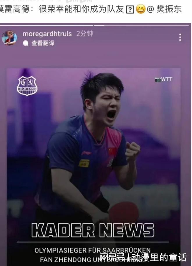 好消息！樊振东高调宣布复出赛场只是不在国乒而是参加欧洲联赛(图2)