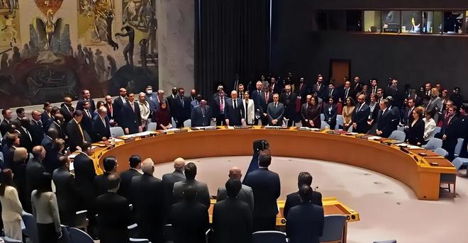 联合国乱了？中俄阻拦无效德国“蹦床女”当上主席任期一年(图10)