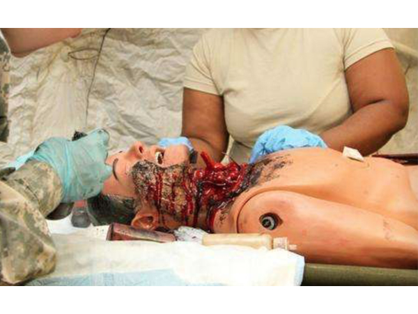 战场心理适应训练系统(图1)