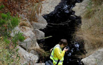 北美分网_新华网(图2)