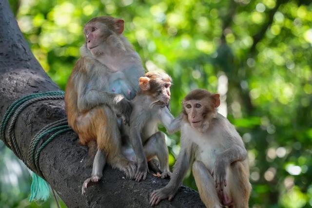 加码！陵水10月文旅盛宴音乐、运动、民俗一个不少！(图1)