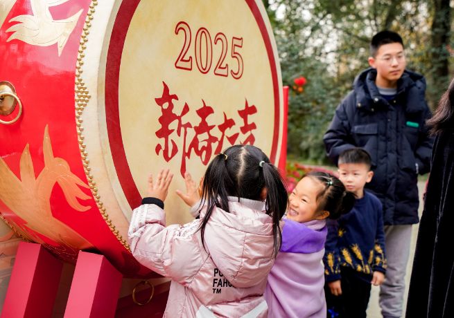 喜庆满满双流大街小巷张灯结彩迎新春(图1)