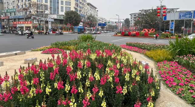 喜庆满满双流大街小巷张灯结彩迎新春(图5)