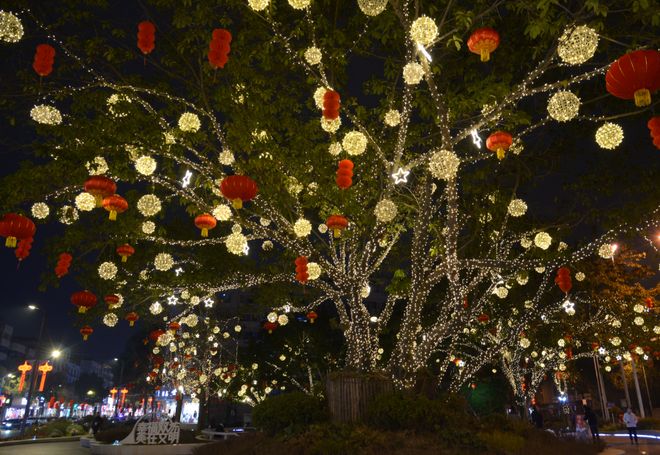 喜庆满满双流大街小巷张灯结彩迎新春(图9)