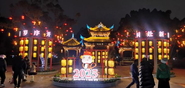 喜庆满满双流大街小巷张灯结彩迎新春(图11)