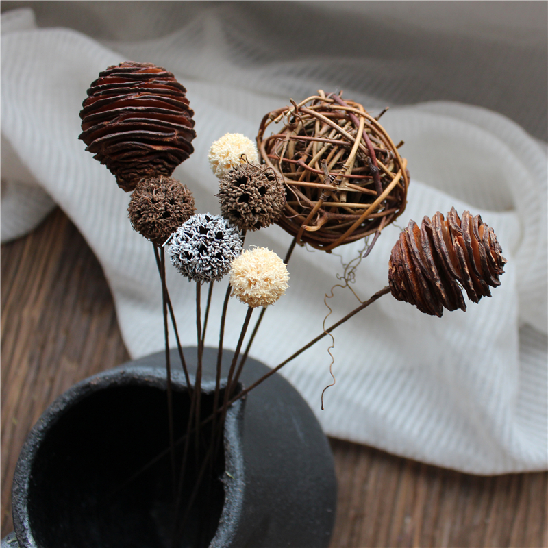 熊出没之探险日记S01E04mp4(图1)