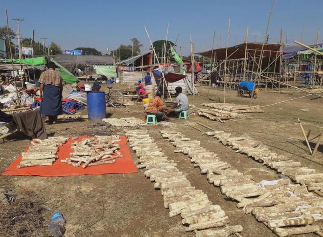 摊位费300万起中标价216亿！缅甸东吁第78届独立日庆典商业火爆(图3)