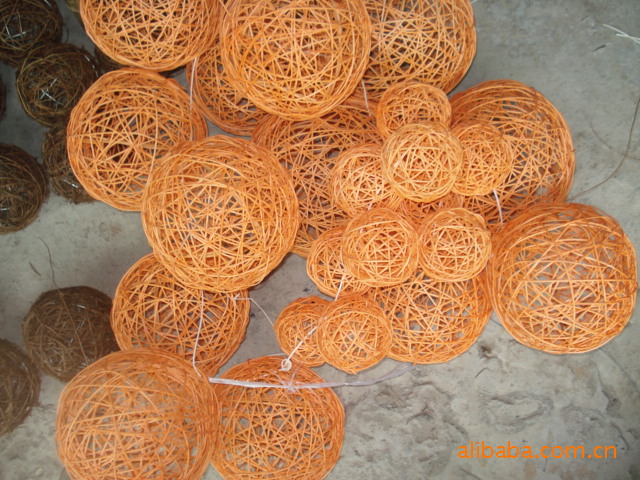 国家女子藤球队在贵州惠水集训(图1)