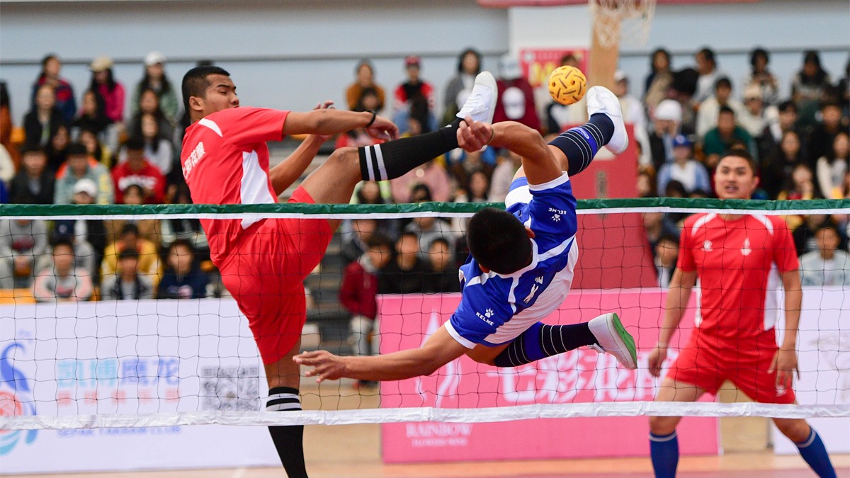 鸟儿训练藤球做法doc(图1)