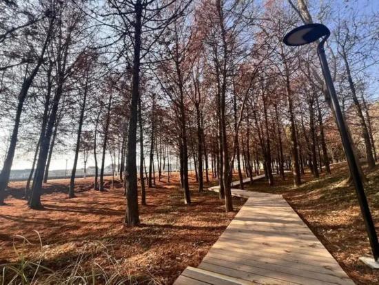 市民运动版图再扩大！沪上多处健身空间开放(图1)