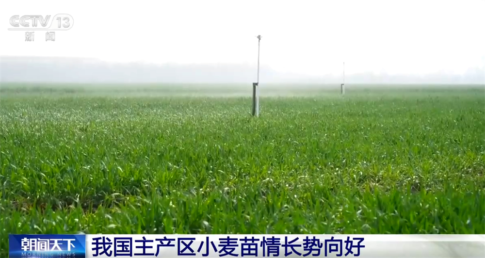 农业“新技术+新装备”勾勒绚丽“科技春耕图” 传统农耕图景变成智慧农业现场(图1)